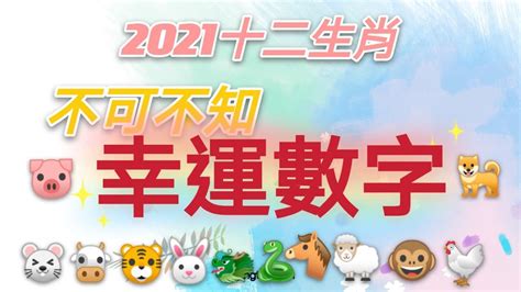 生肖虎幸運色|十二生肖「幸運數字、幸運顏色、大吉方位」！跟著做。